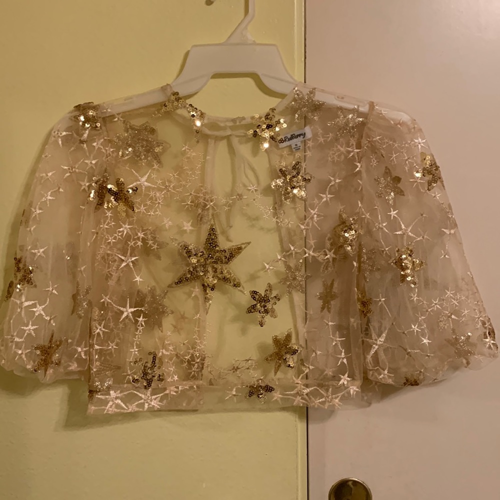 Sheer gold sequin crop top size small